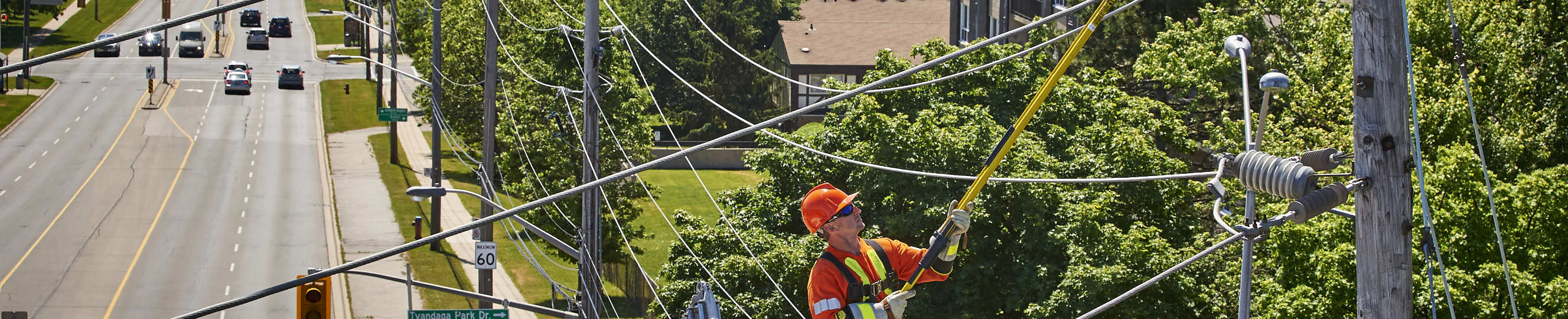 electricity pole, overhead line and components